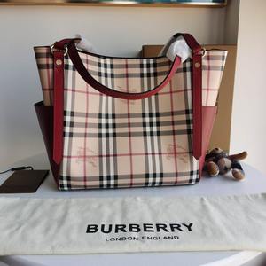 Burberry Handbags 194